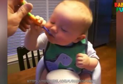 小孩子搞笑视频全集,搞笑视频全集欢乐集锦