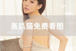无圣光视频,探索光影背后的秘密